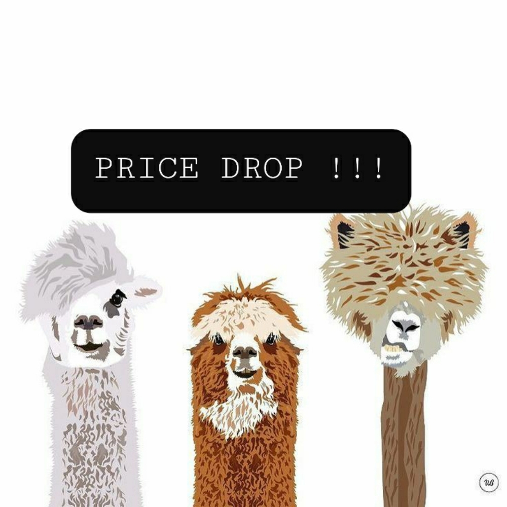 PRICE DROP, CHECK IT OUT!